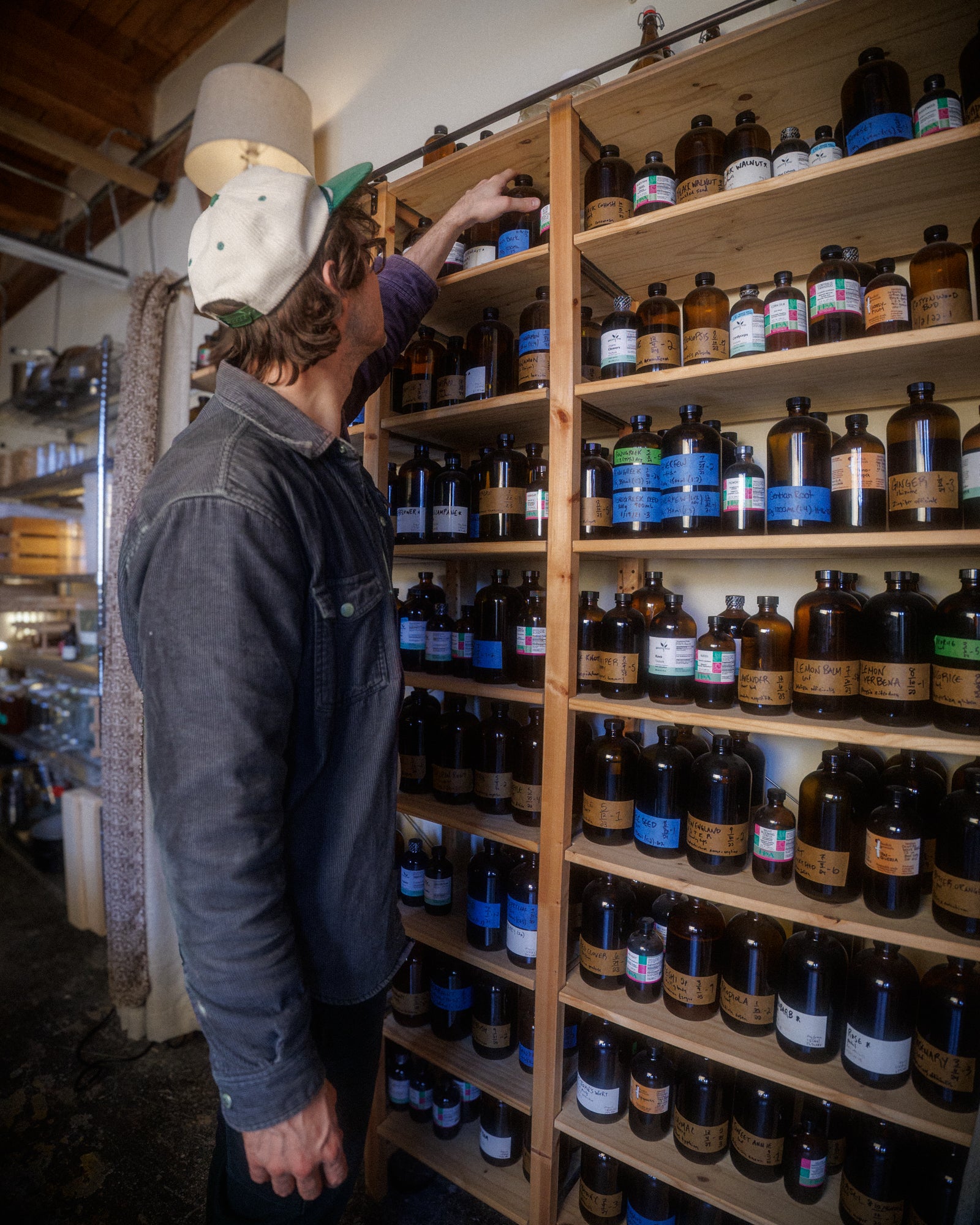 Single Herb Tinctures