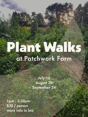 Plant Walks at Patchwork Farm