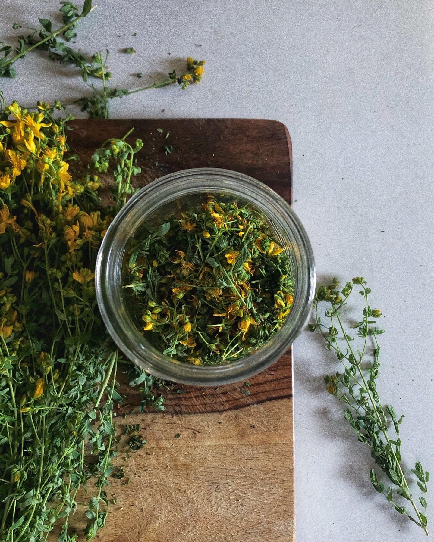 St. John's Wort Oil - Herbal Infused Oil